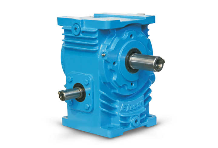 Worm Gear Small Series